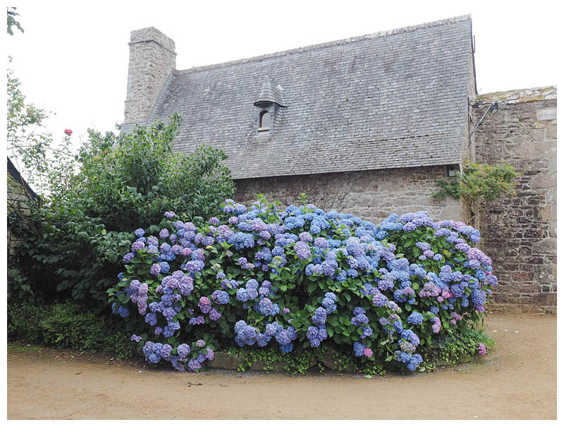 Chateau de La Roche-Jagu