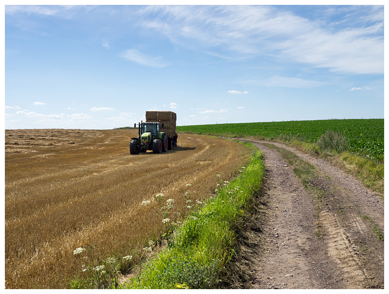 chemin de Feluy  Gouy
