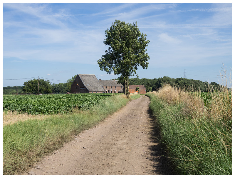 chemin Ste Anne