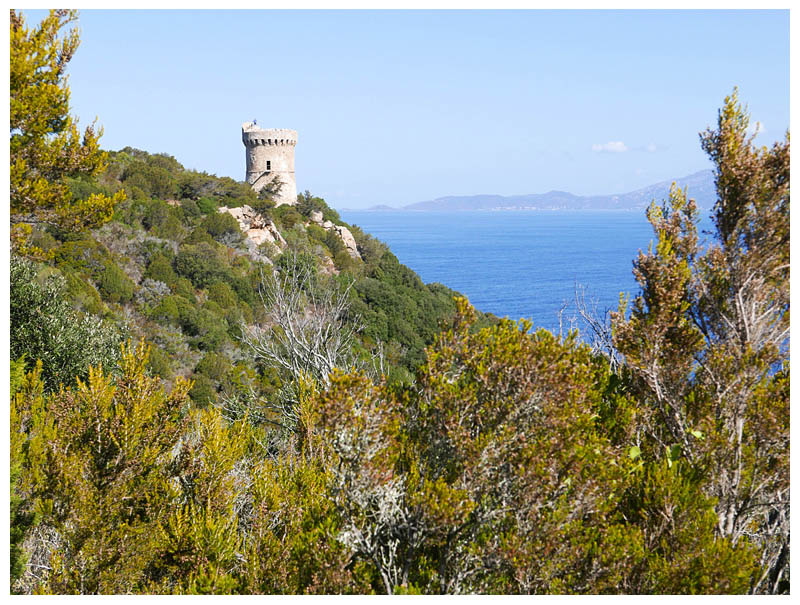 Capu di Muru
