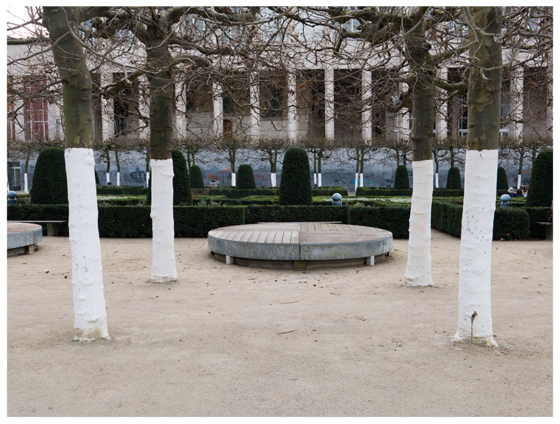 Mont des Arts