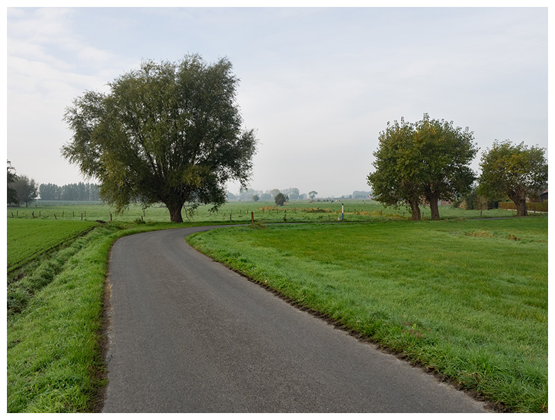 Steenakkerstraat