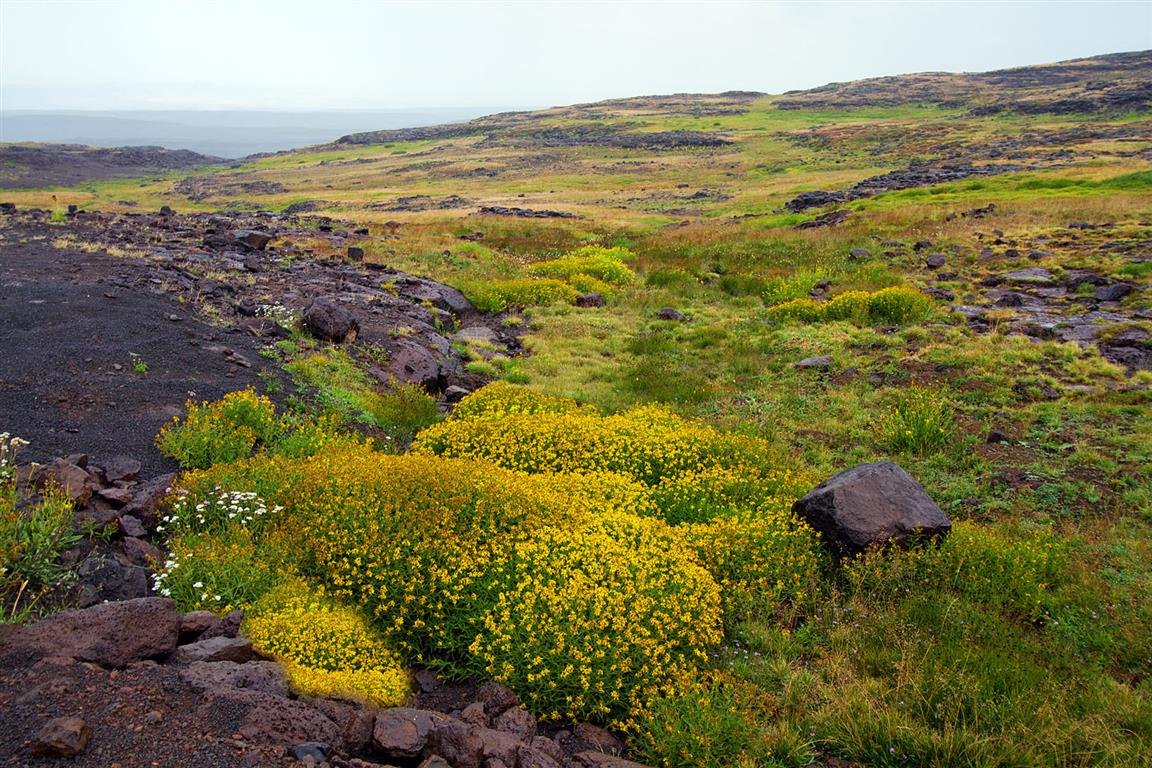 Steens Mountain