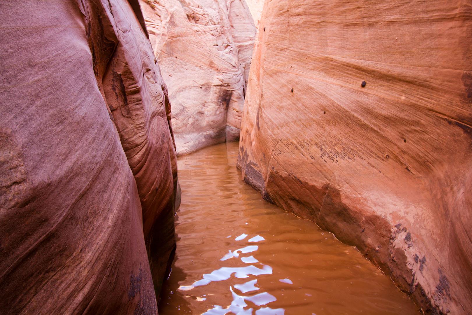 Zebra Slot Canyon