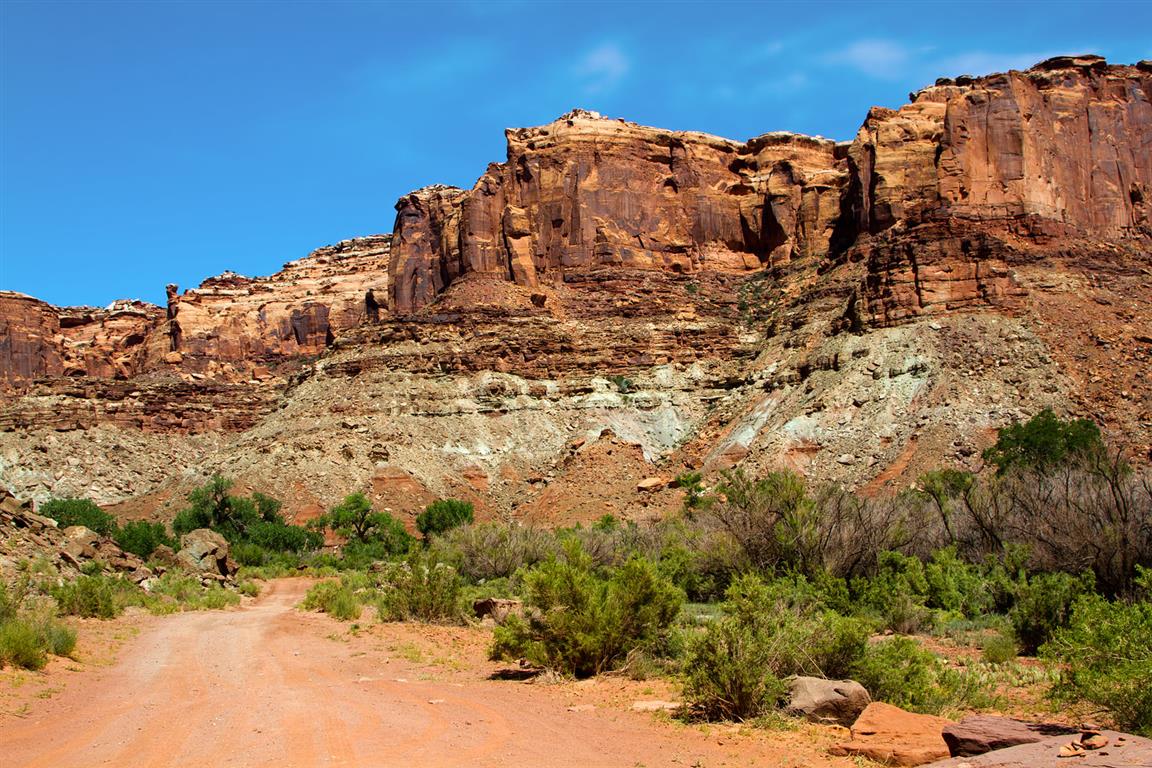 Spring Canyon
