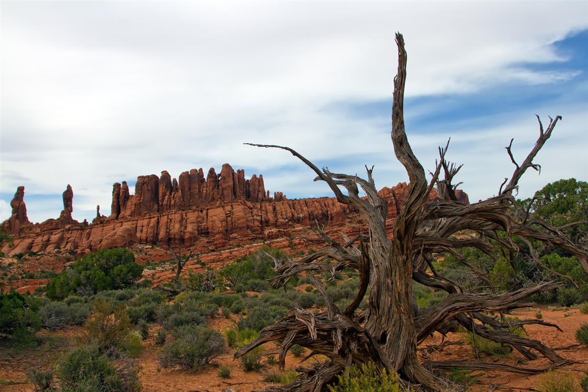 Road To Tower Arch