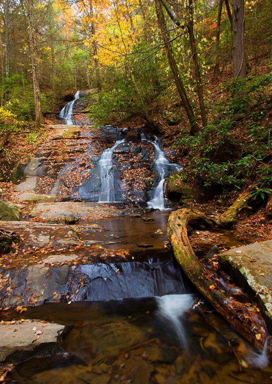 Fall Branch Falls