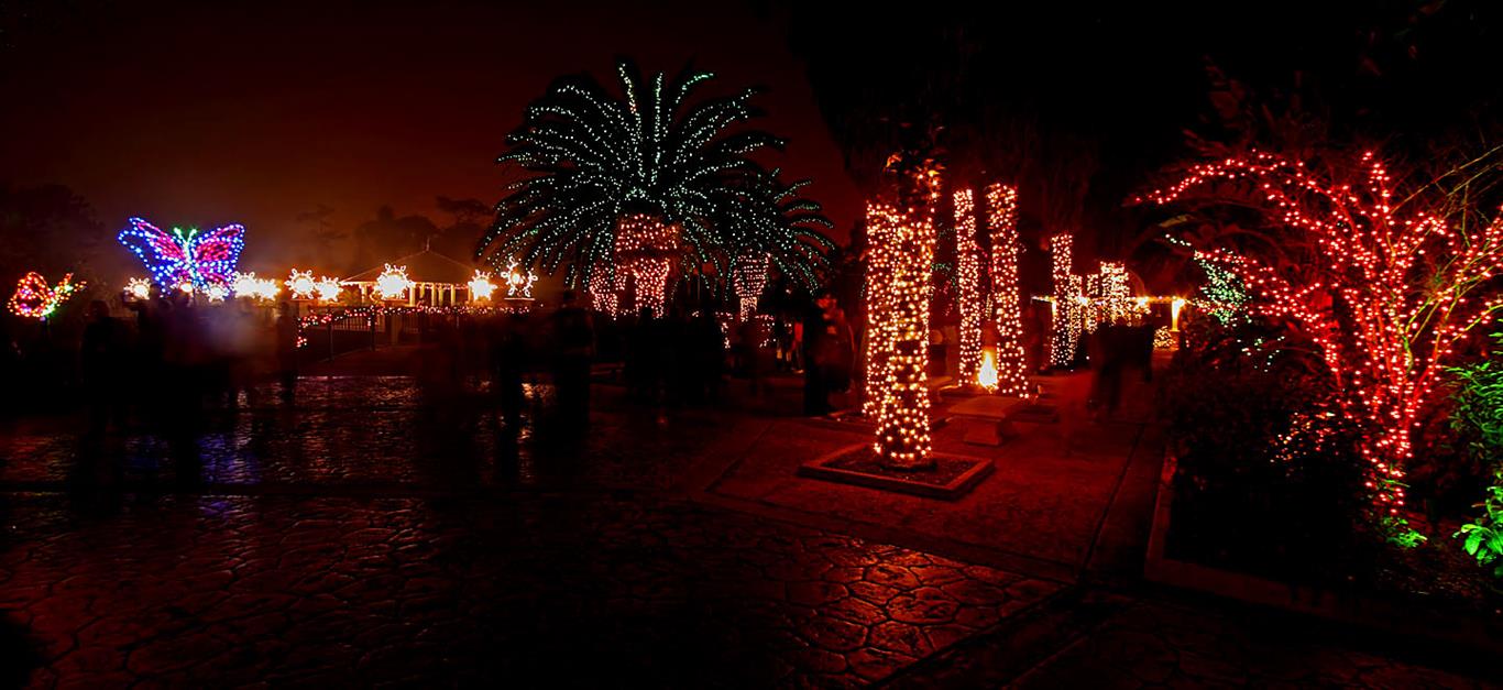 Christmas, Botanical Garden