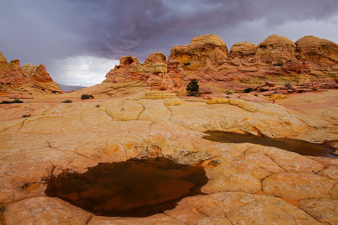 Cottonwood Cove