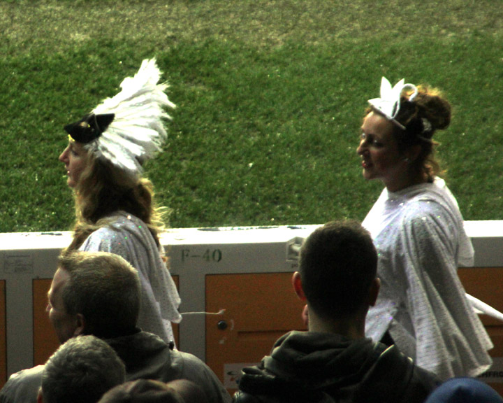 Swans