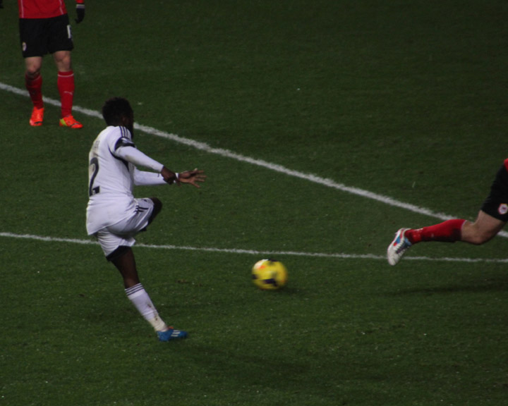 Dyer Shoots