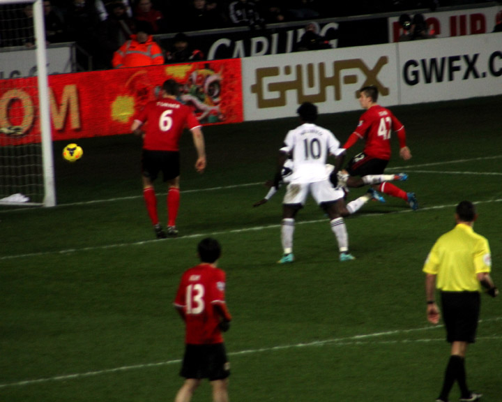 Dyer Goal