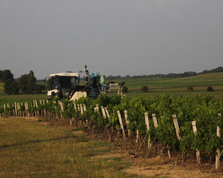 Harvesting