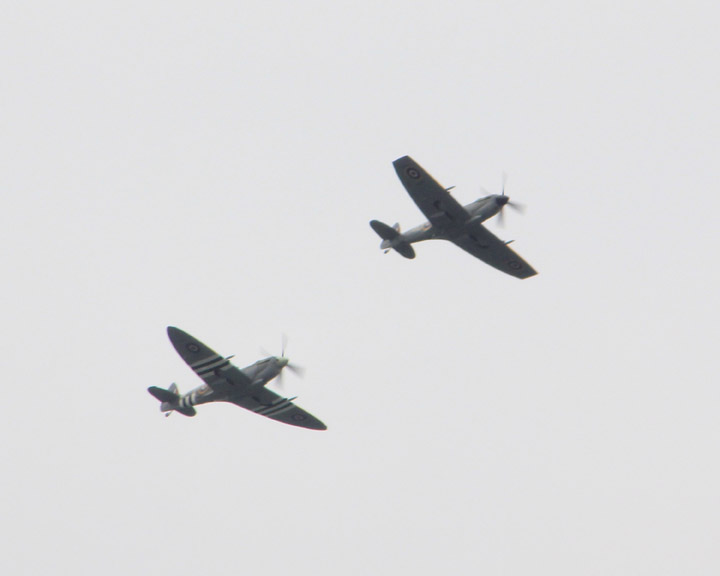 Spitfires