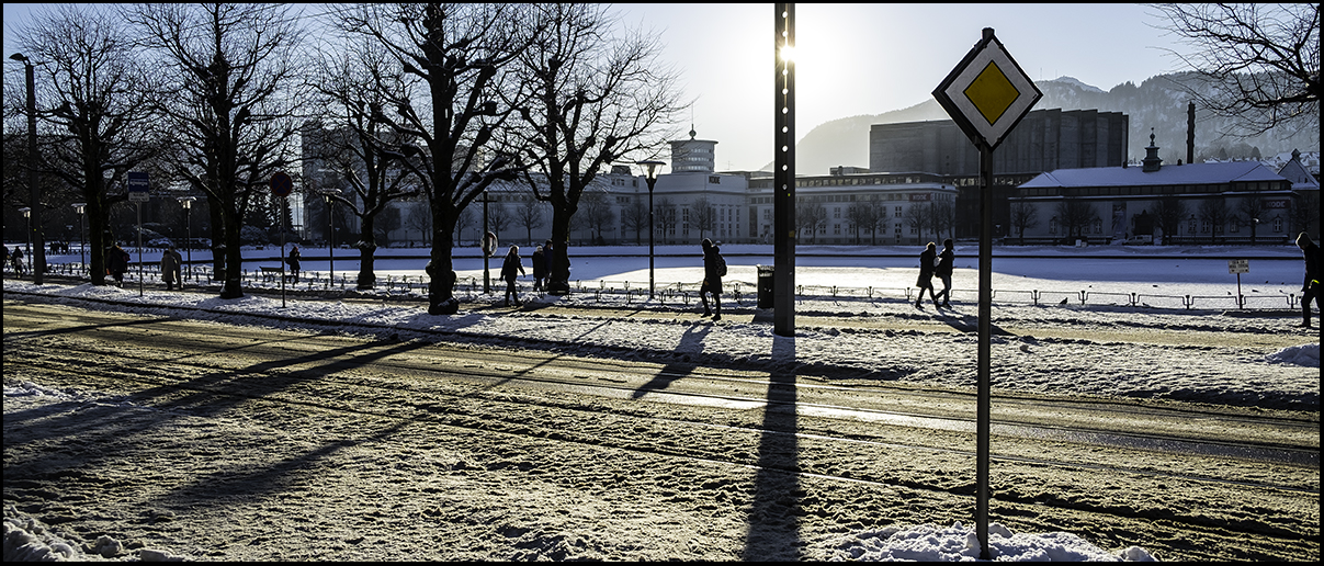 Long shadows......