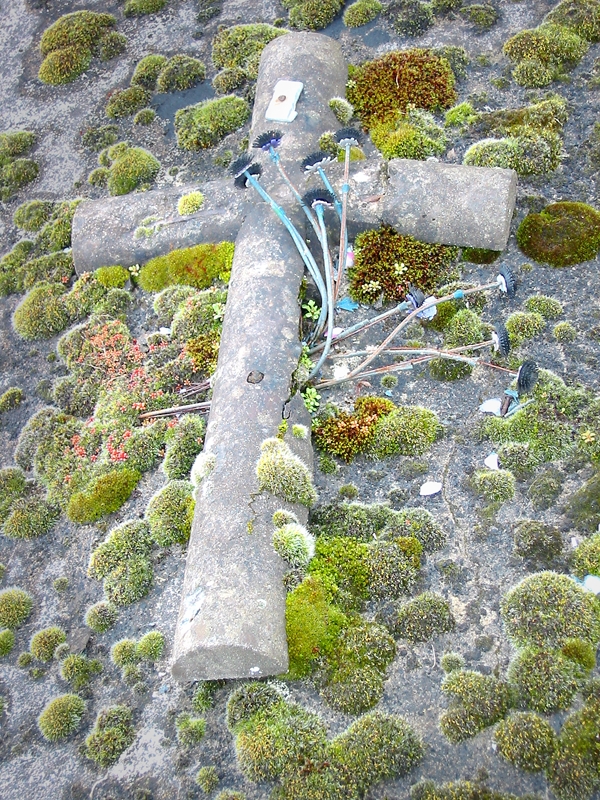 cross on grave.tif