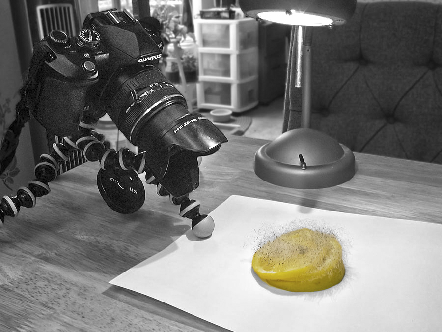 Photographing mold on a lemon