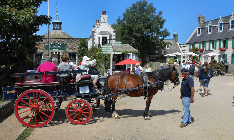 horse and carriage