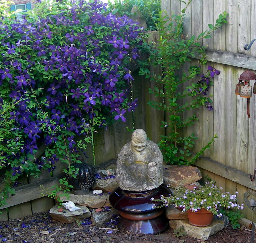 budda & blooming clematis