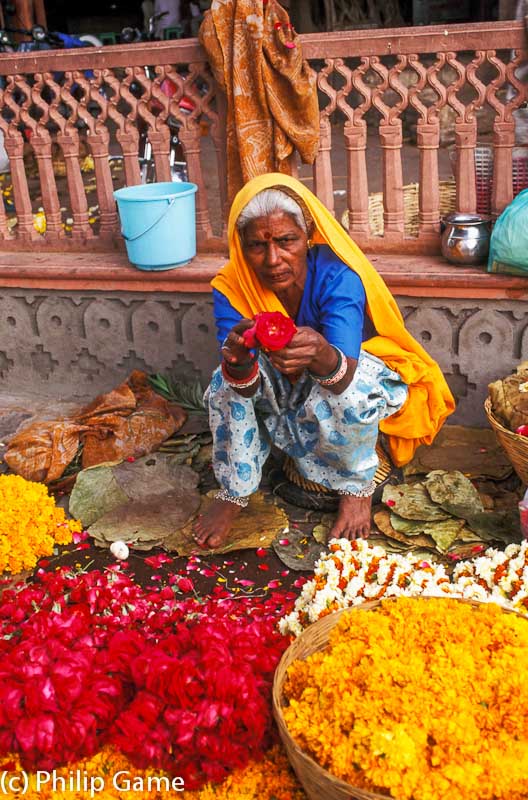 Selling marigold garlands, Jaipur