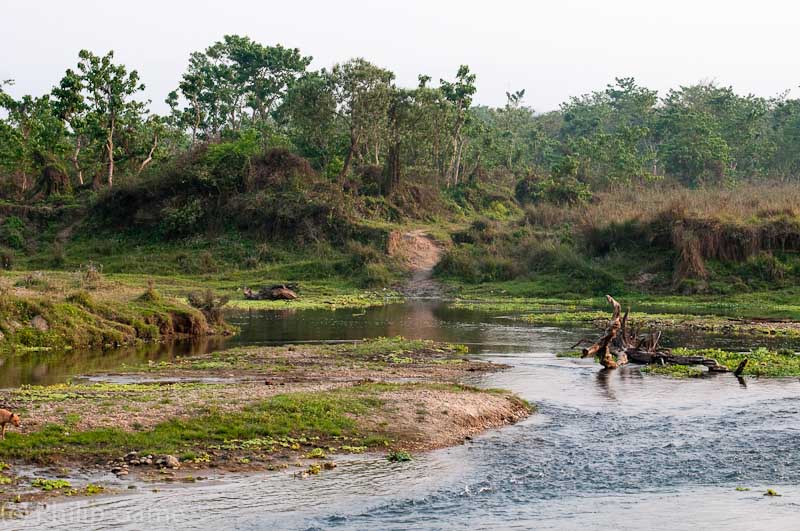 River scene