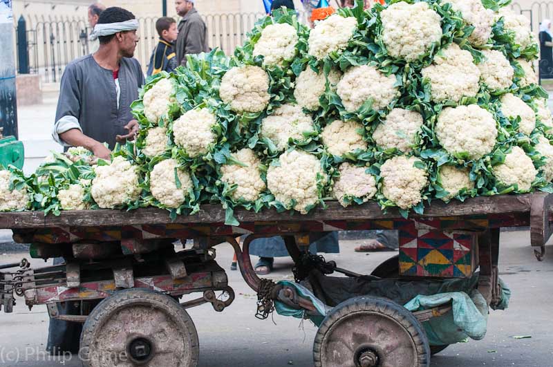 Egypt: A cartload of cauliflowers, Fustat, Cairo