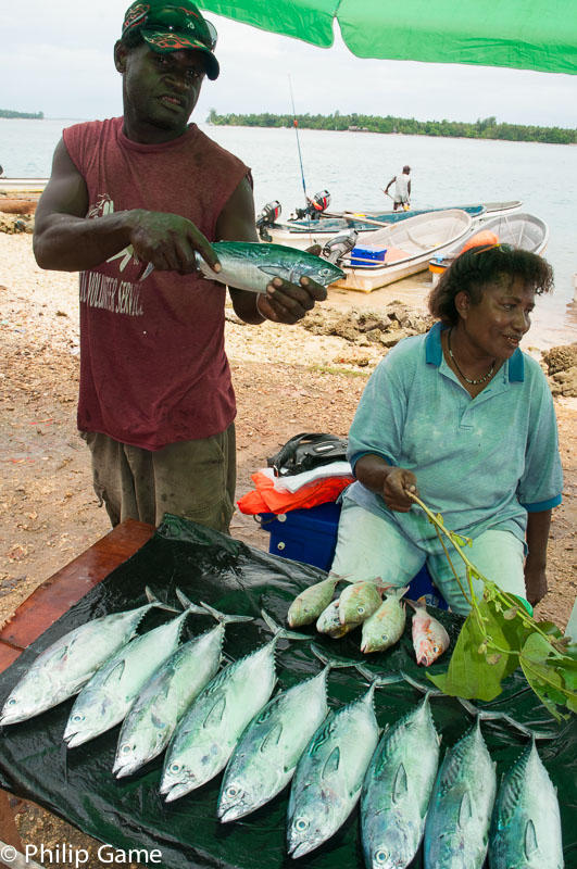 Fresh-caught fish at the Kavieng Market