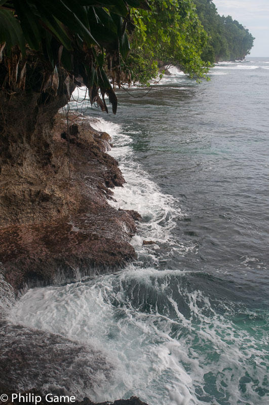Coral cliffs at Rubio