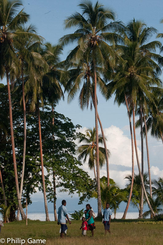Waving palms at Kukudu