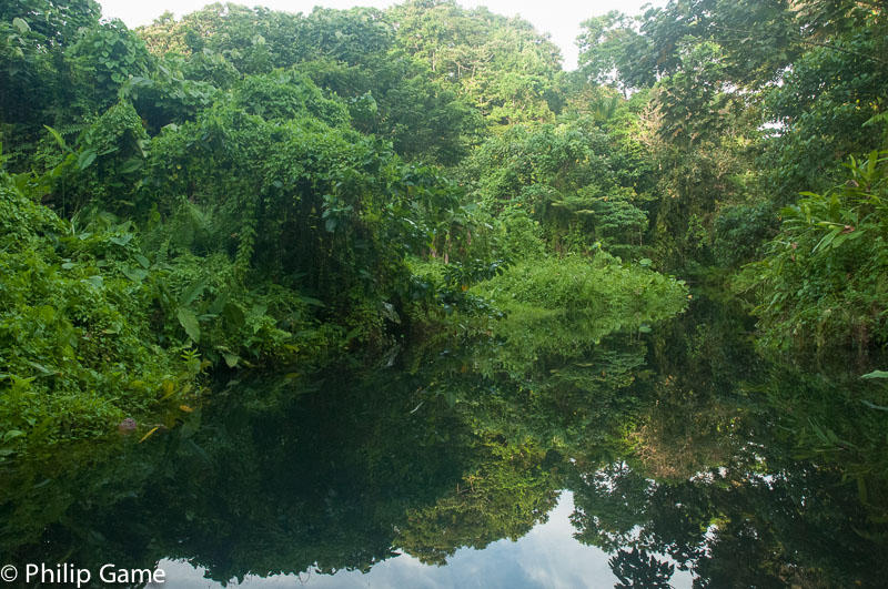 Deep within the mangrove-lined waterways