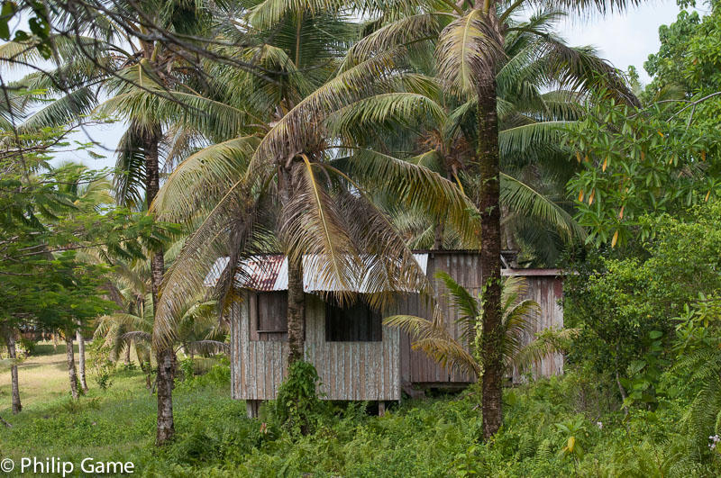 Village home, Lavangu