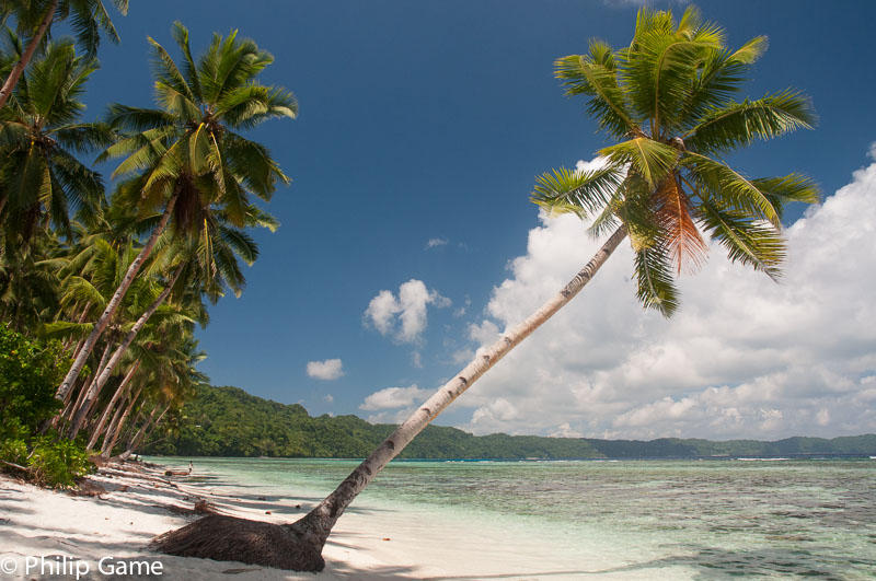 The cove below Lavangu