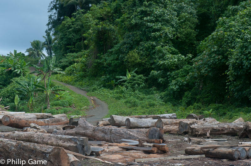 Abandoned Malaysian logging camp, Anuta