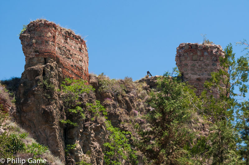 Nariqala Fortress, from the National Botanic Gardens