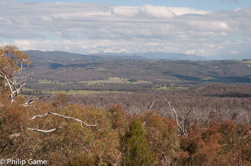 View towards Mt Buffalo from Mt Pilot