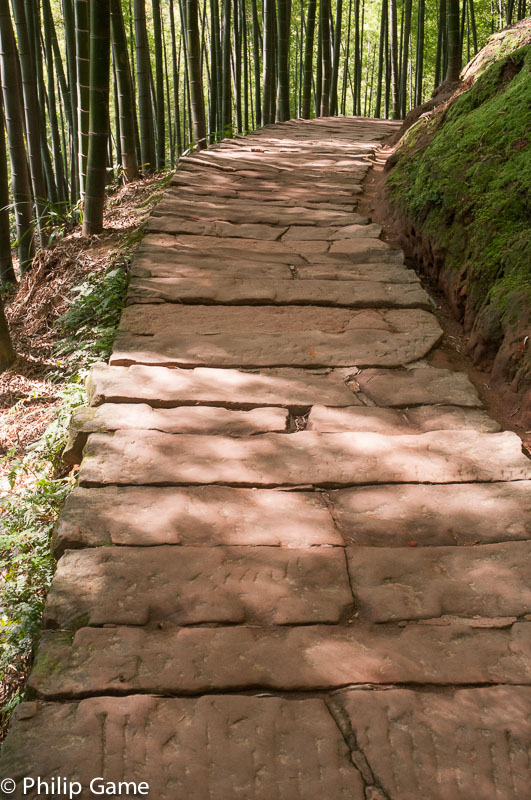 Stone-flagged paths between the bamboos