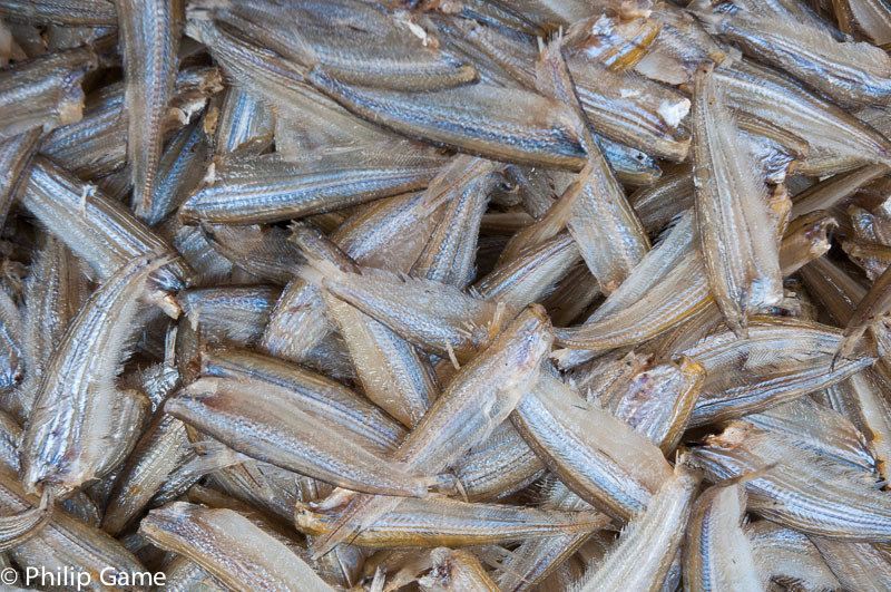 Dried fish at the Central Market