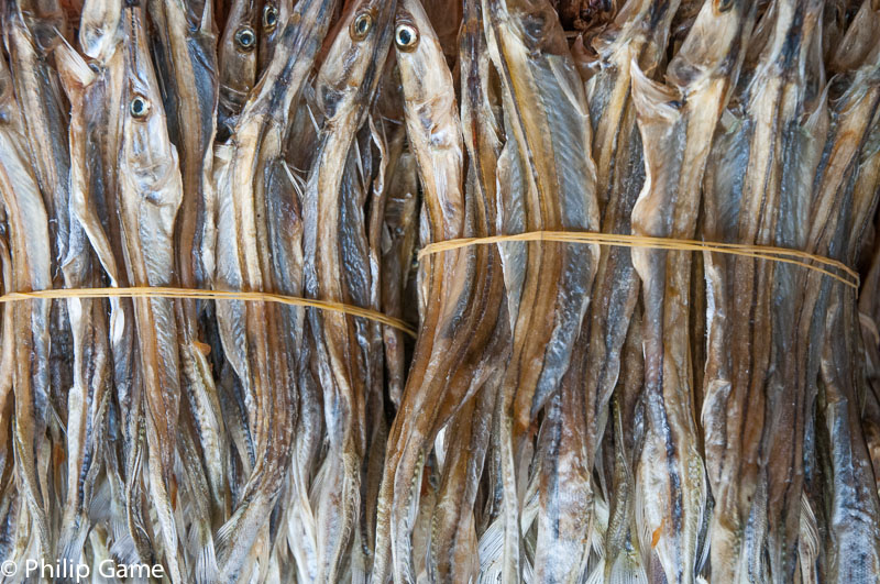 Dried fish at the Central Market
