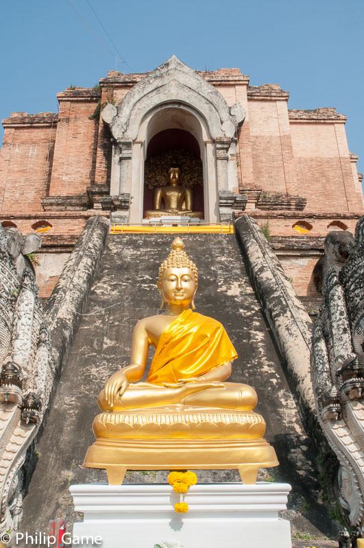  Gilded Buddha effigies at Wat Chedi Luang