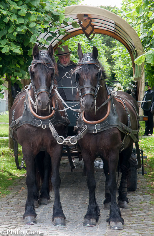 Horse-drawn carriage waiting outside the church