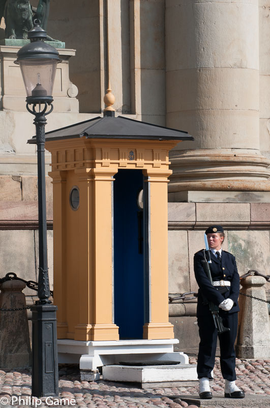 On guard at the  Royal Palace