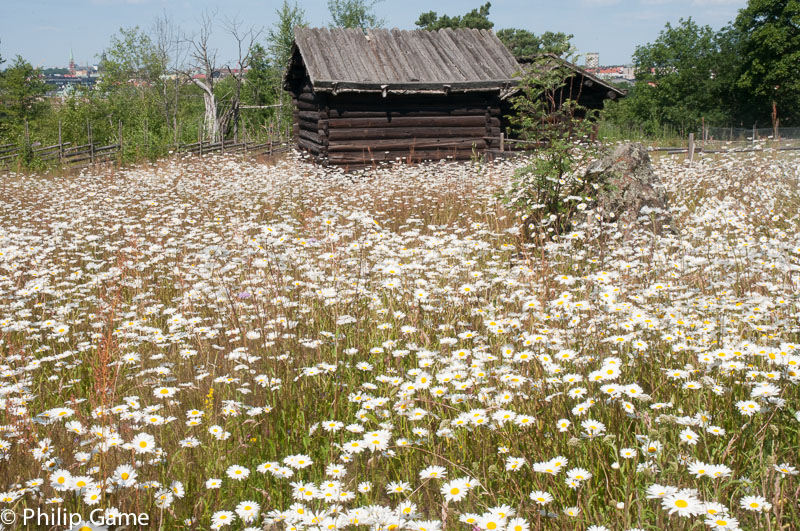 The Summer Pasture Farm from Dalarna, at Skansen