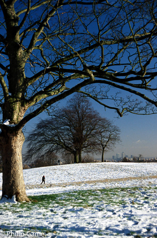 Hampstead Heath in winter