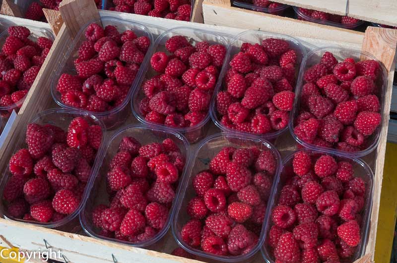 Fresh raspberries for sale at theTorvehallerne market