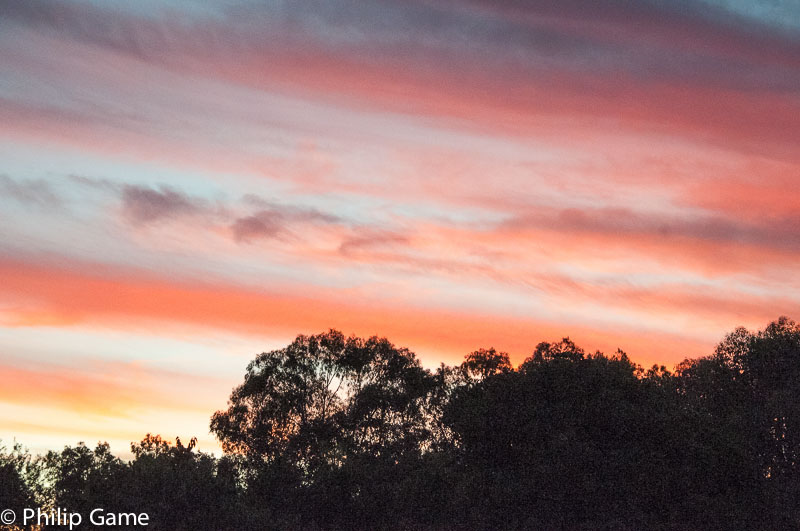 Sunset from our cottage outside Beechworth