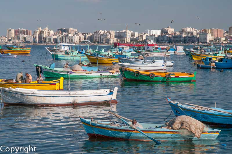 Eastern Harbour at Alexandria