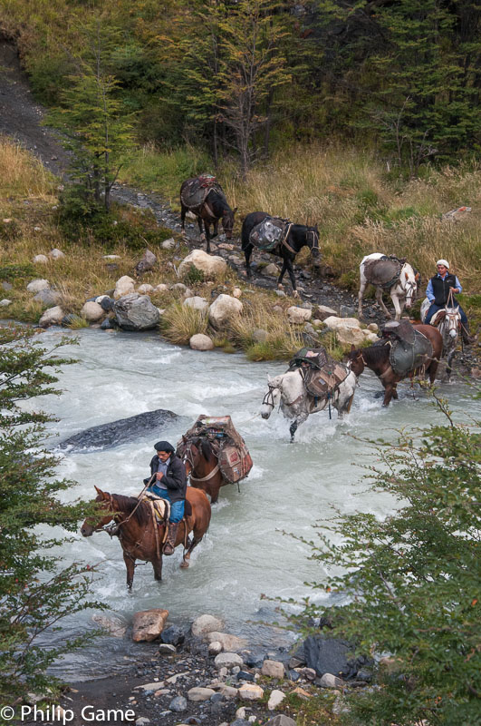 Horse-riding excursion