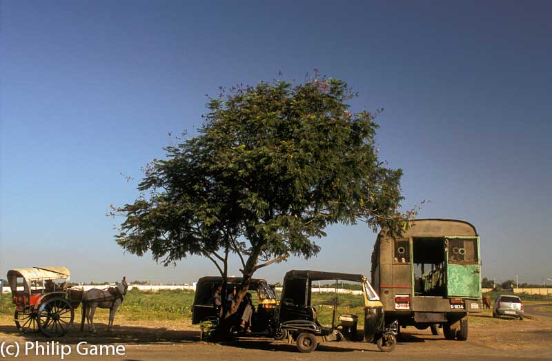 Passenger transport in readiness outside the airport terminal at Bhavnagar (population 500,000)