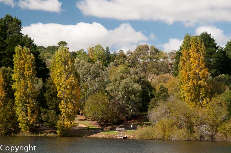 Lake Daylesford in autumn