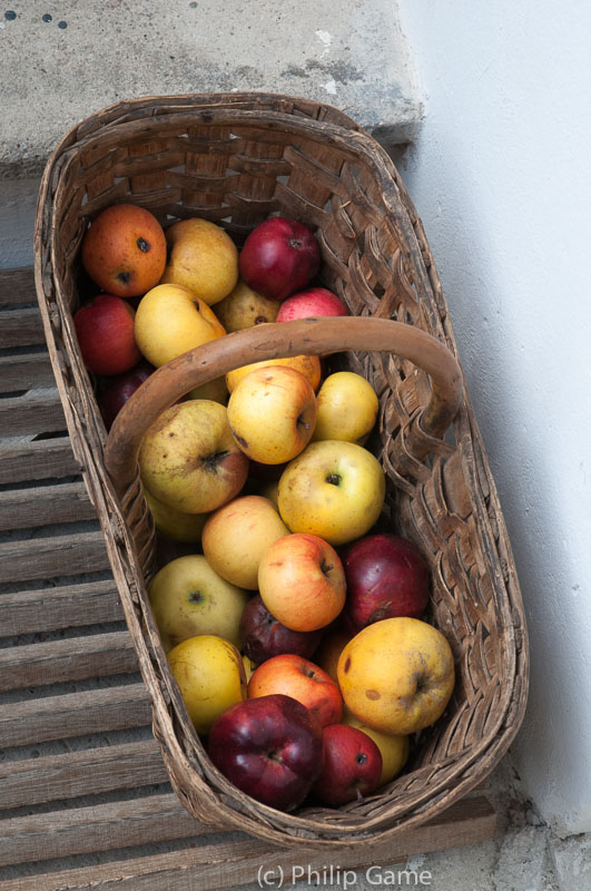 Basket of local apples, Krems